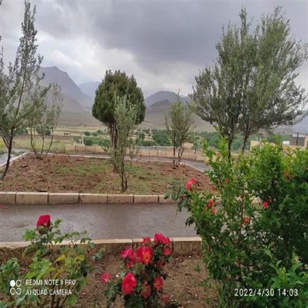 محوطه کتابخانه