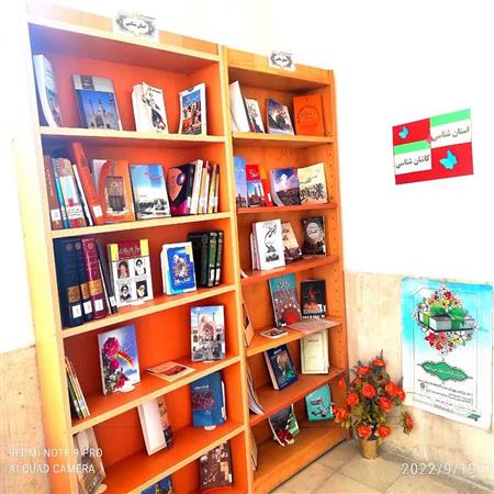 استان شناسی